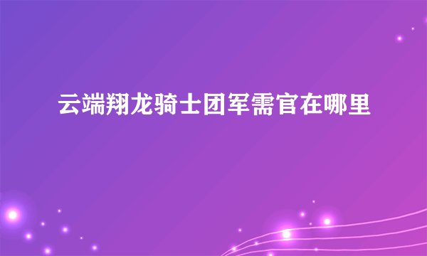 云端翔龙骑士团军需官在哪里