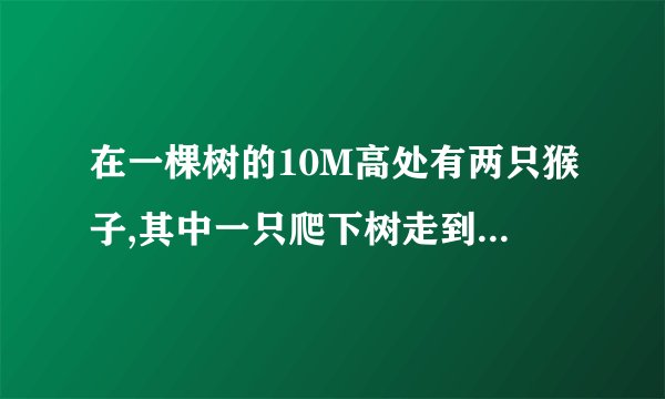 在一棵树的10M高处有两只猴子,其中一只爬下树走到离树20M处的池塘A处,另一只猴子爬上树顶后直接跃向