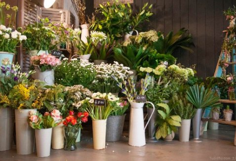 想开花店去哪里培训？