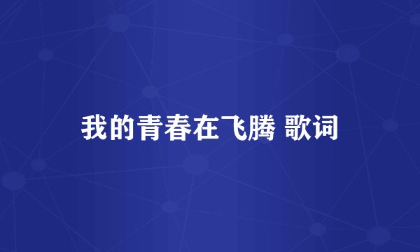 我的青春在飞腾 歌词