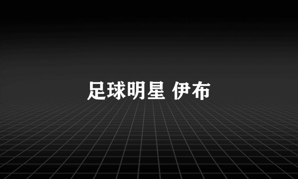 足球明星 伊布