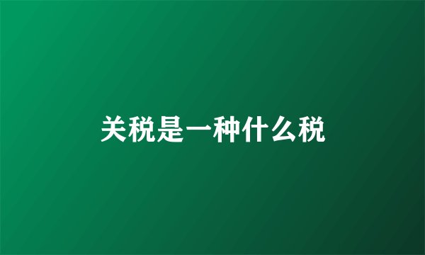 关税是一种什么税