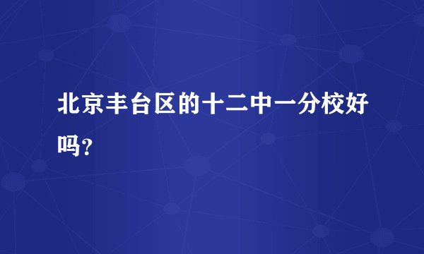 北京丰台区的十二中一分校好吗？