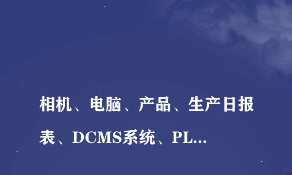 
相机、电脑、产品、生产日报表、DCMS系统、PLM系统、哪些属于实物资产

