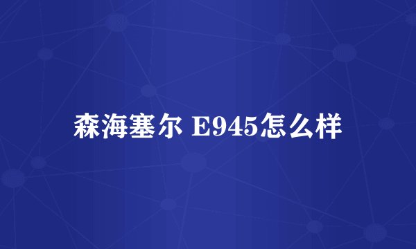 森海塞尔 E945怎么样