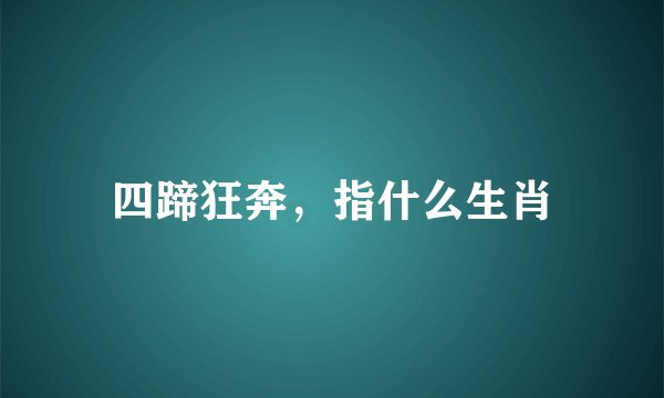 四蹄狂奔，指什么生肖