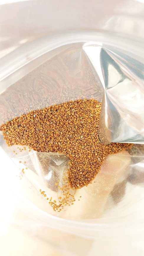 海藻颗粒大颗好还是小颗好？便宜海藻颗粒和贵的区别？