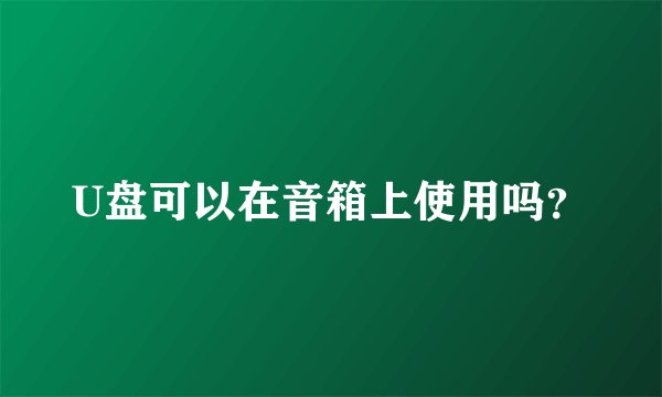 U盘可以在音箱上使用吗？