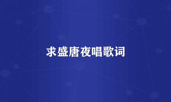 求盛唐夜唱歌词