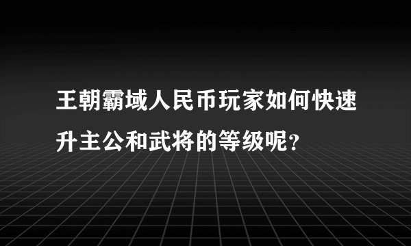 王朝霸域人民币玩家如何快速升主公和武将的等级呢？