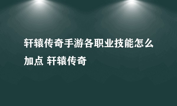 轩辕传奇手游各职业技能怎么加点 轩辕传奇