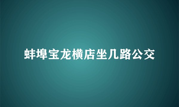 蚌埠宝龙横店坐几路公交