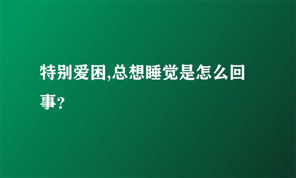 特别爱困,总想睡觉是怎么回事？