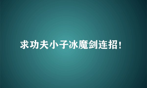 求功夫小子冰魔剑连招！