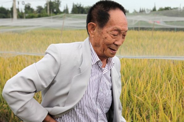 袁隆平团队创盐碱地水稻高产新纪录！他还破过哪些记录？