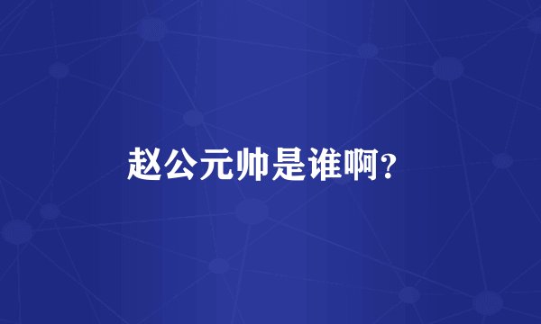 赵公元帅是谁啊？