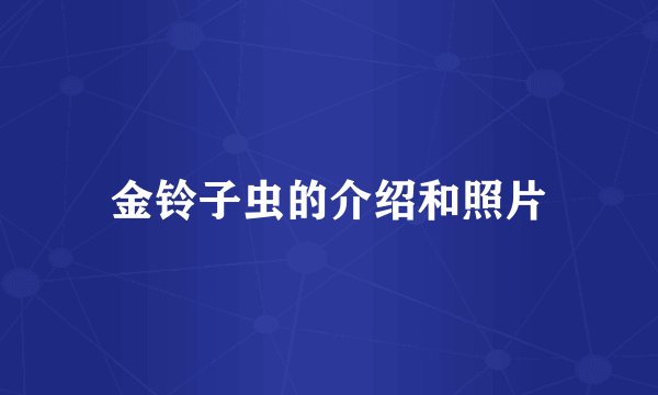 金铃子虫的介绍和照片