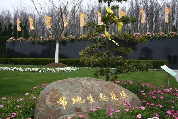 埋骨何须桑梓地什么意思?