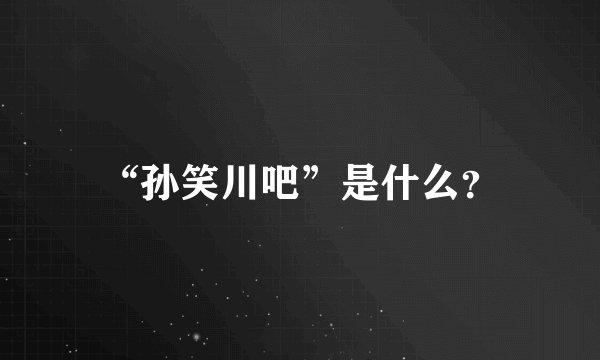 “孙笑川吧”是什么？