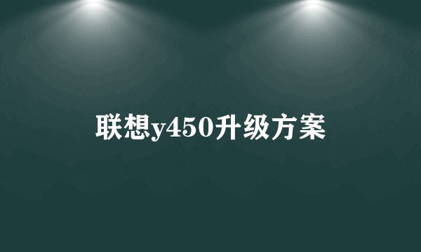 联想y450升级方案