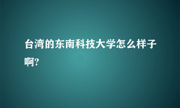 台湾的东南科技大学怎么样子啊?