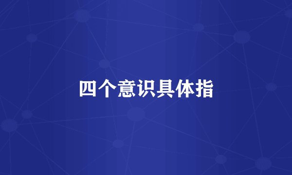 四个意识具体指