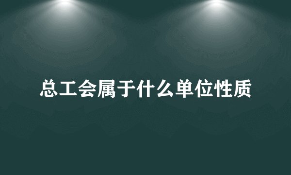 总工会属于什么单位性质