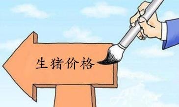 猪肉价格上涨的主要原因是什么？