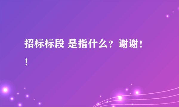 招标标段 是指什么？谢谢！！