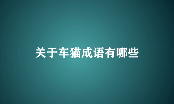 关于车猫成语有哪些