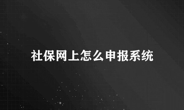 社保网上怎么申报系统