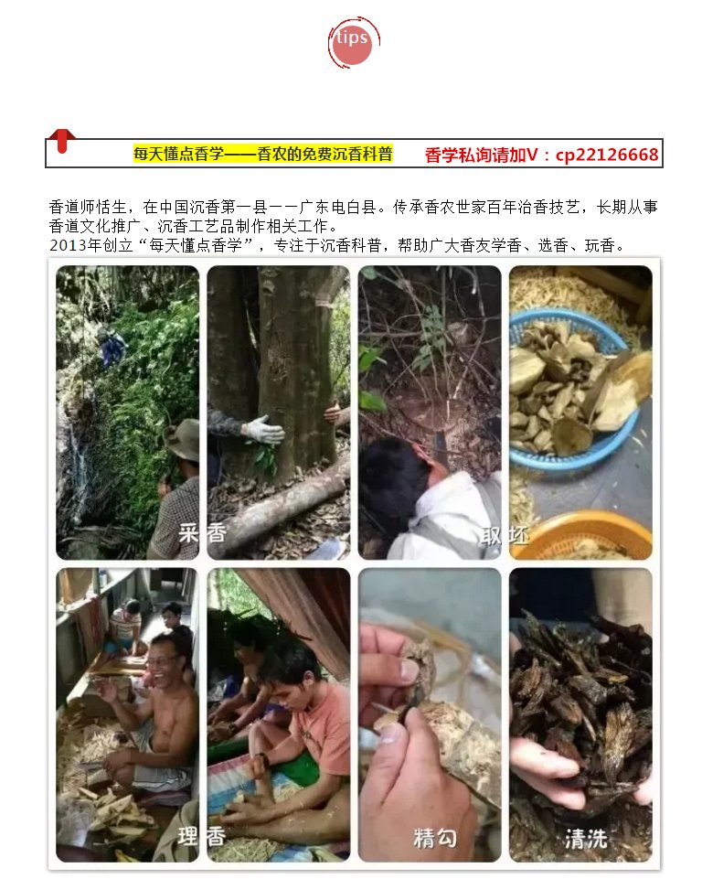 奇楠沉香特点是什么 图片 详解