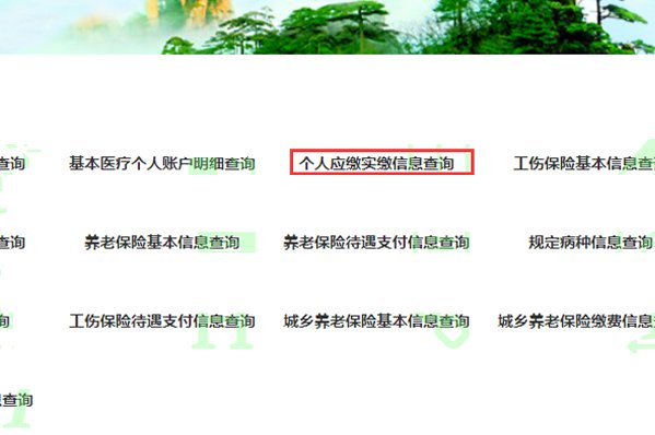 城镇居民医疗保险 怎么查