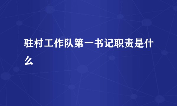驻村工作队第一书记职责是什么