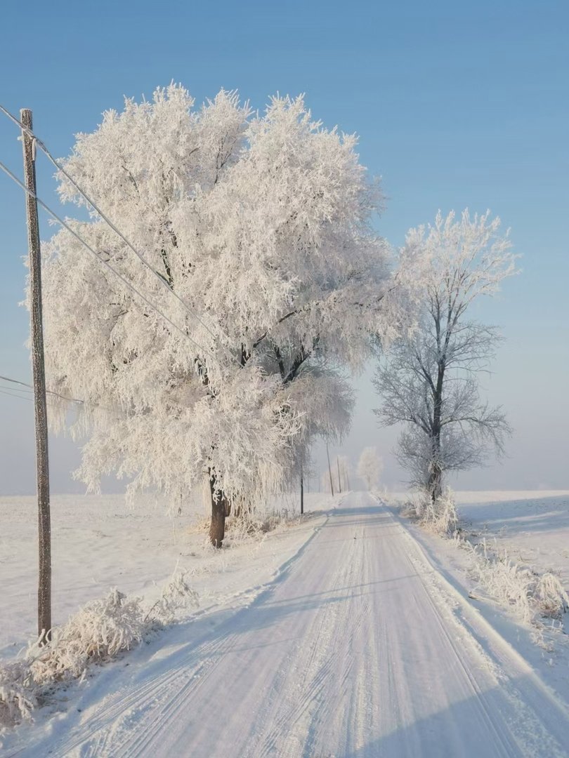 道不同不相为谋，志不同不相为友，是说的什么意思呢？