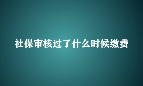 社保审核过了什么时候缴费
