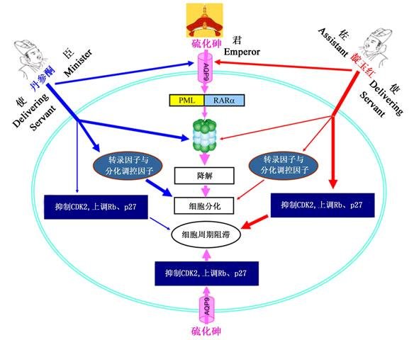 经营协同效应的作用