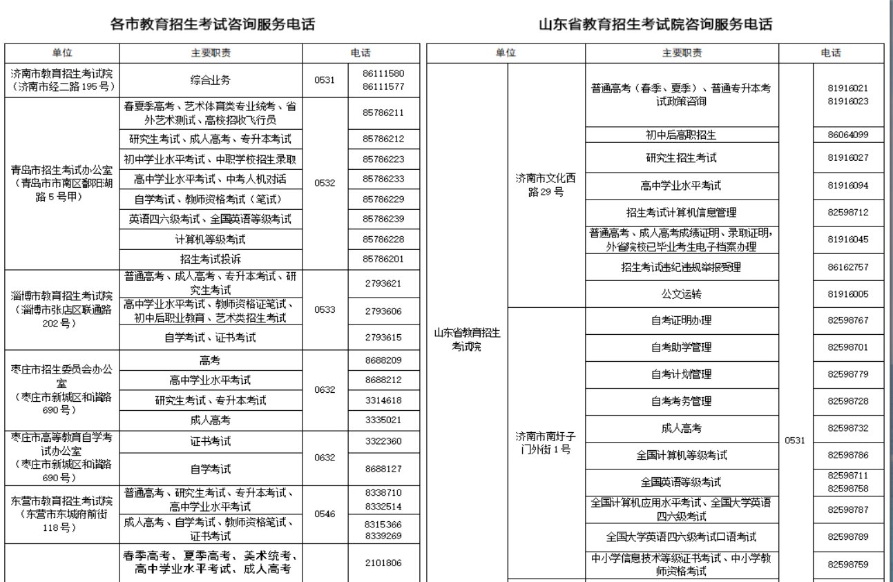 山东省教育招生考试院电话