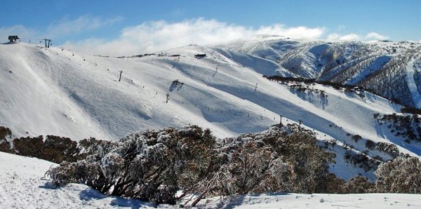 去澳大利亚旅游的最佳时间