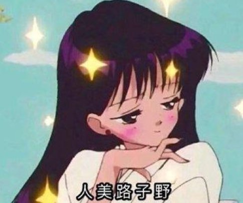 路子野什么意思啊