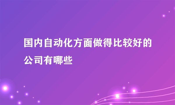 国内自动化方面做得比较好的公司有哪些