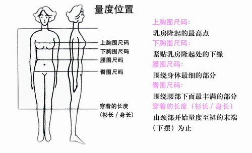 内衣尺寸怎么量