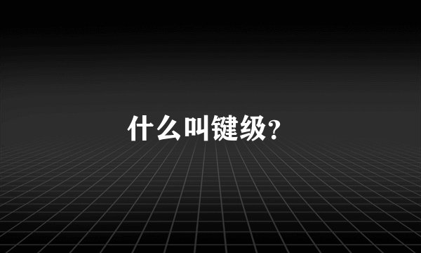 什么叫键级？