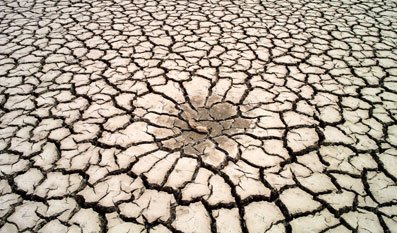 破坏环境的十种行为