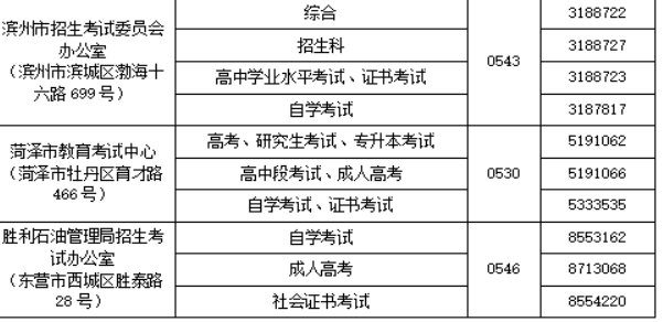 山东省教育招生考试院电话