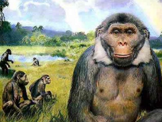 元谋人发现地点