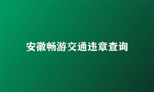 安徽畅游交通违章查询