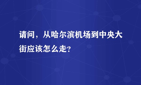 请问，从哈尔滨机场到中央大街应该怎么走？