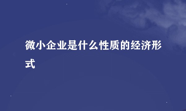 微小企业是什么性质的经济形式