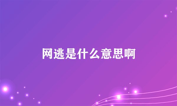 网逃是什么意思啊